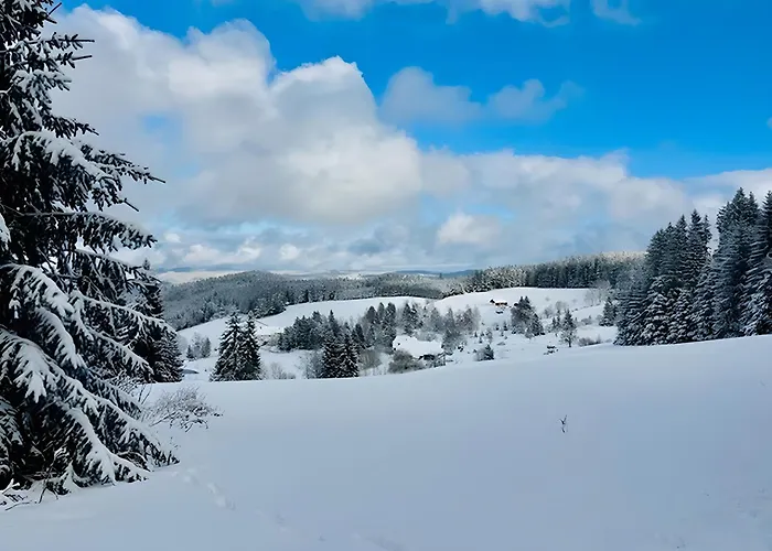 Schwarzwald Nescht Triberg