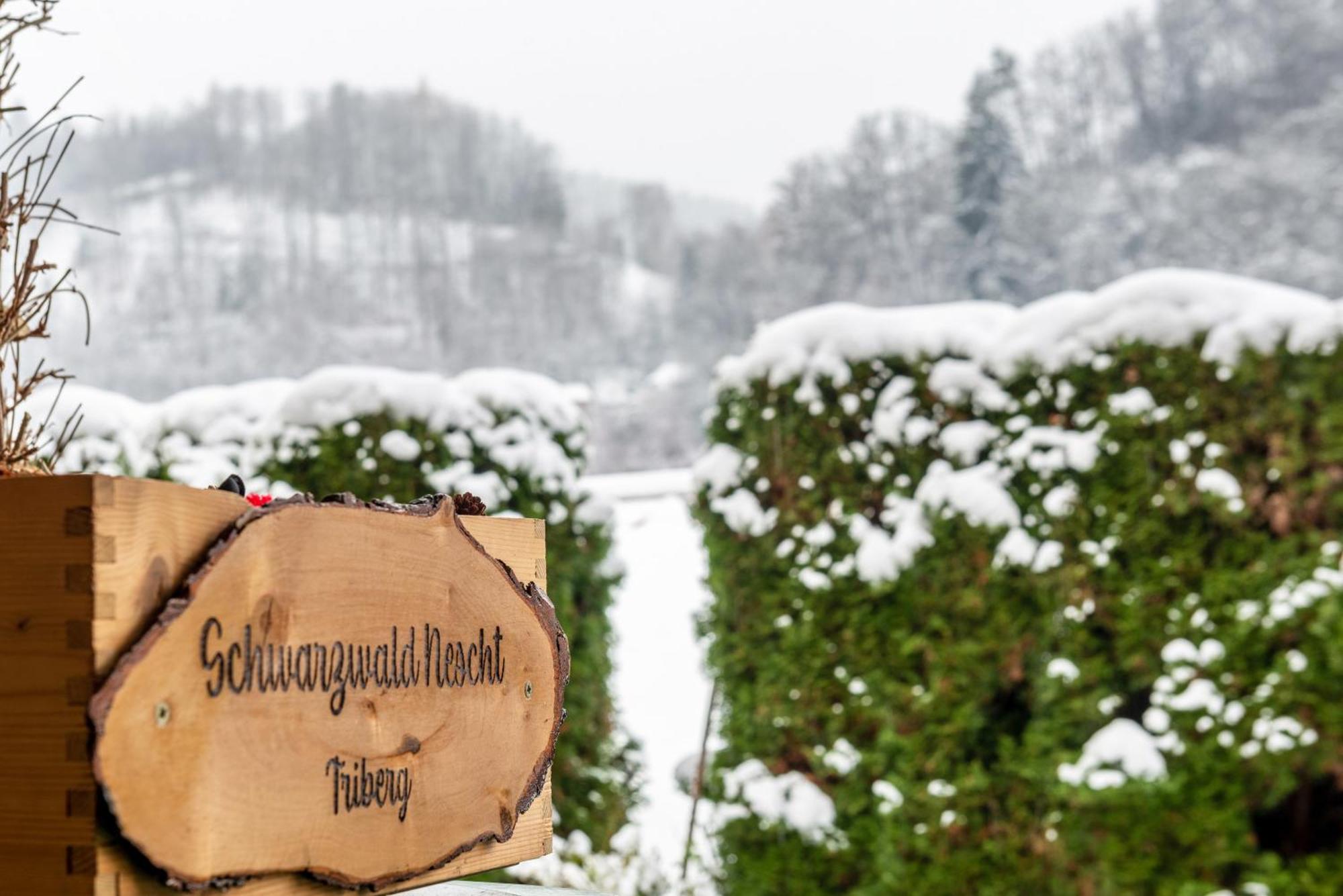 Schwarzwald Nescht Triberg Apartment