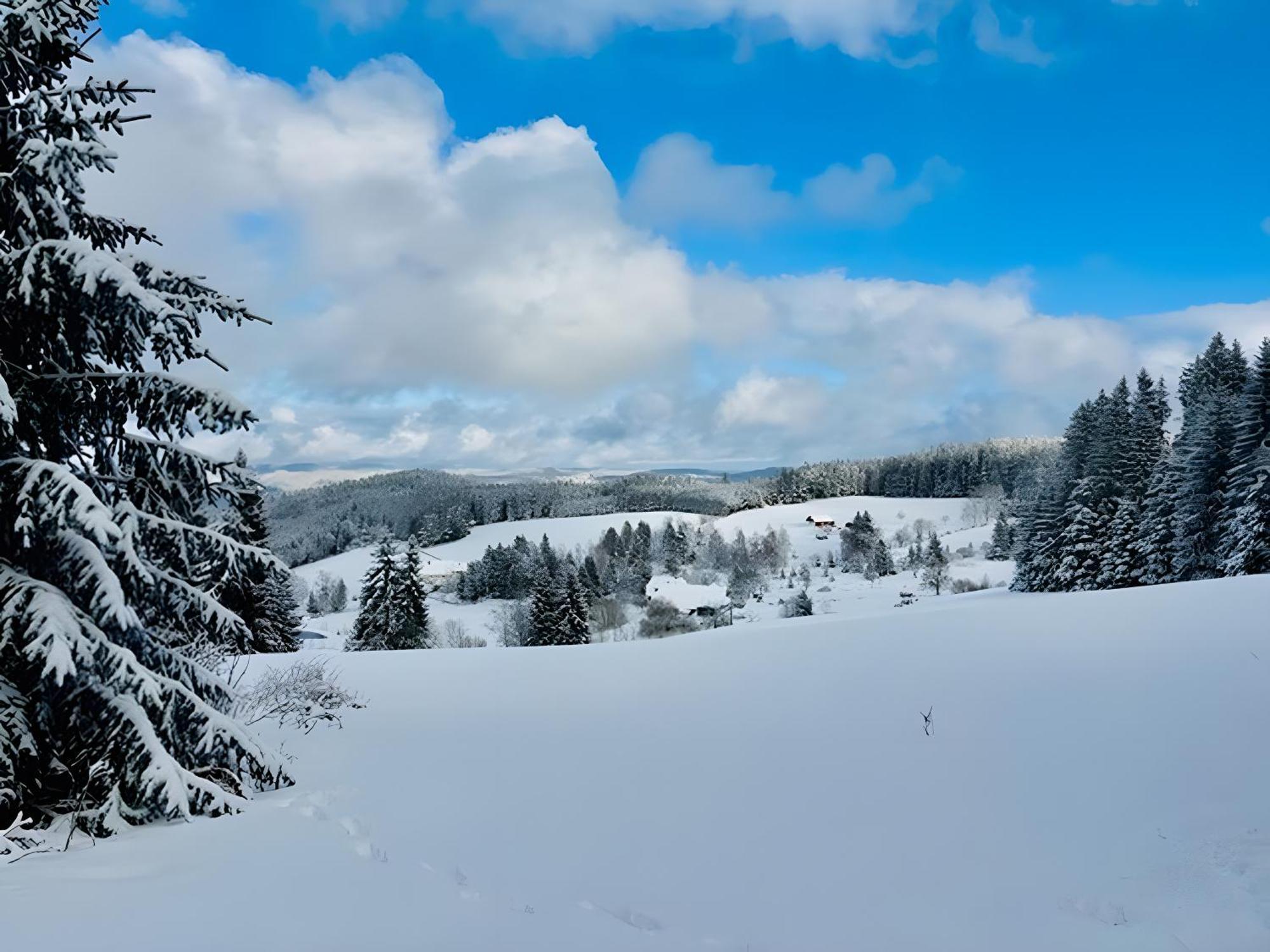 Schwarzwald Nescht Triberg